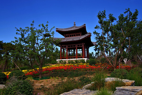 城市綠心森林公園