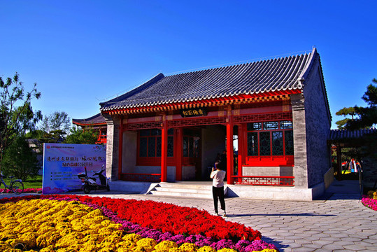 城市綠心森林公園