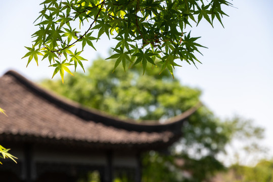 浙江嘉興南湖景區(qū)勺園