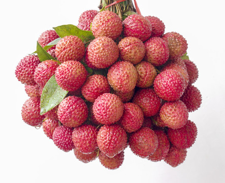 桂味荔枝