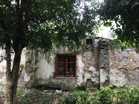 無人居住荒蕪老屋
