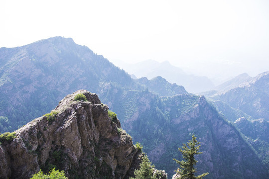 山景