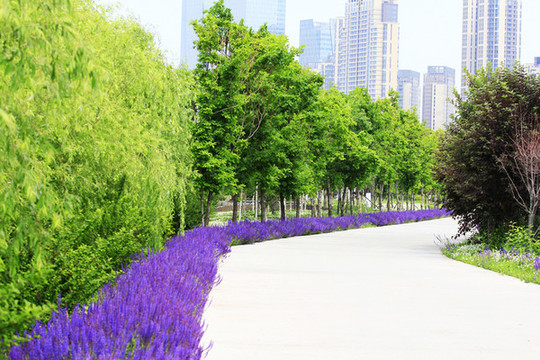 公園