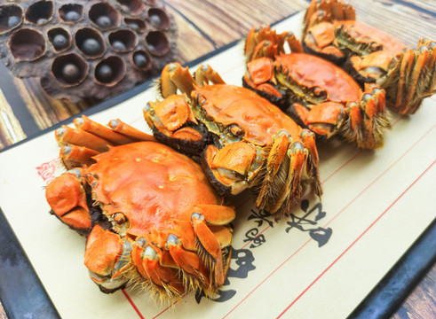 陽澄湖大閘蟹