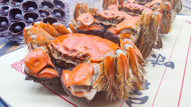 陽澄湖大閘蟹