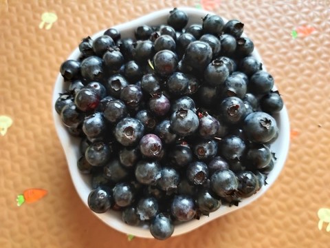 新鮮藍莓