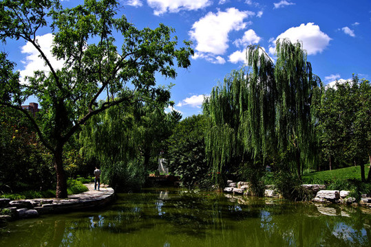 朝陽(yáng)區(qū)慶豐公園