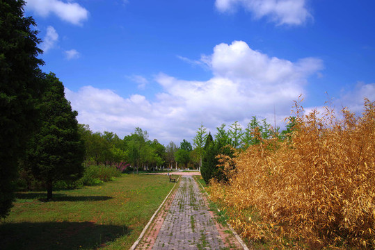 通州區(qū)永樂生態(tài)公園