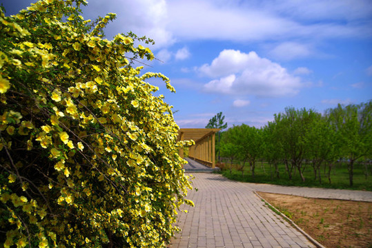 通州區(qū)永樂生態(tài)公園