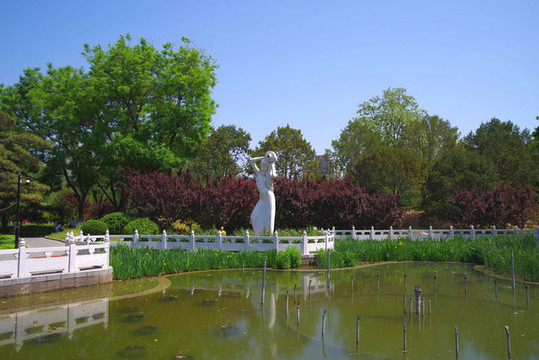 豐臺(tái)區(qū)豐臺(tái)花園