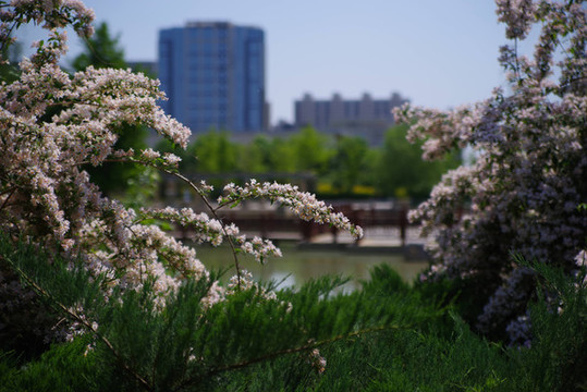豐臺區(qū)西局玉璞園公園