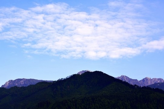 云山蒼蒼