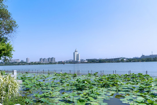 玄武湖風(fēng)光