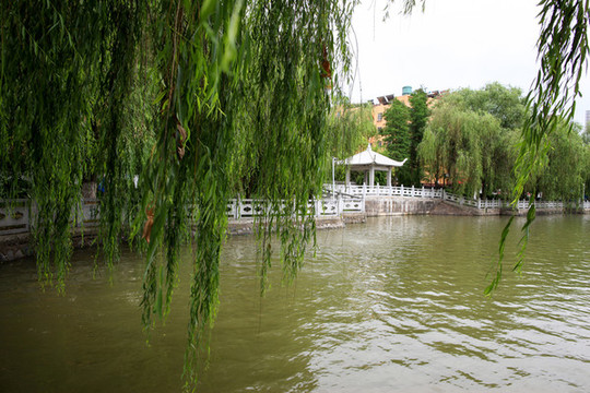 城市公園
