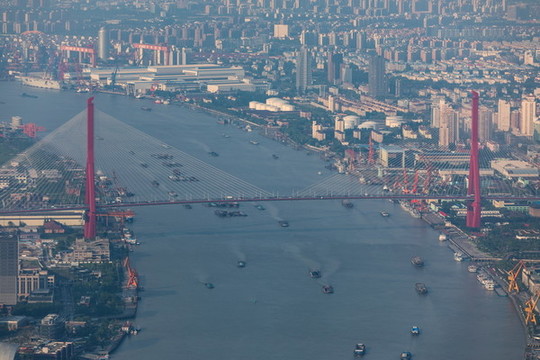 上海楊浦大橋