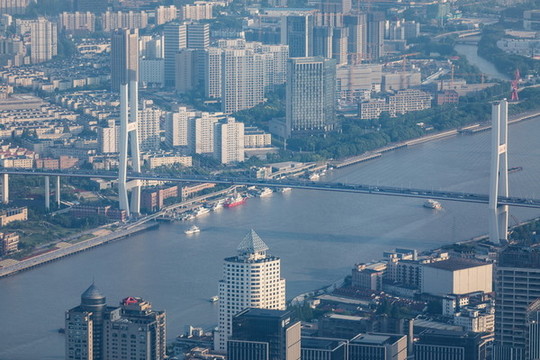 上海南浦大橋