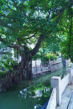 福州內(nèi)河