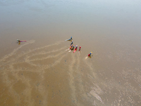 航拍黃河三角洲生態(tài)旅游區(qū)