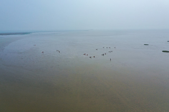 航拍黃河三角洲生態(tài)旅游區(qū)
