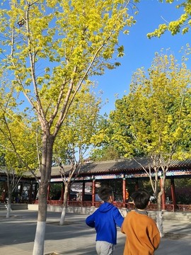 公園