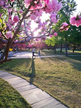 公園
