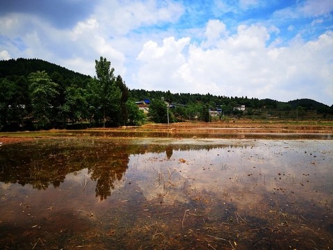 農(nóng)田
