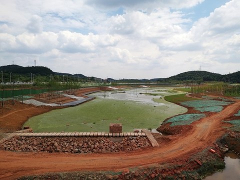 公園建設(shè)
