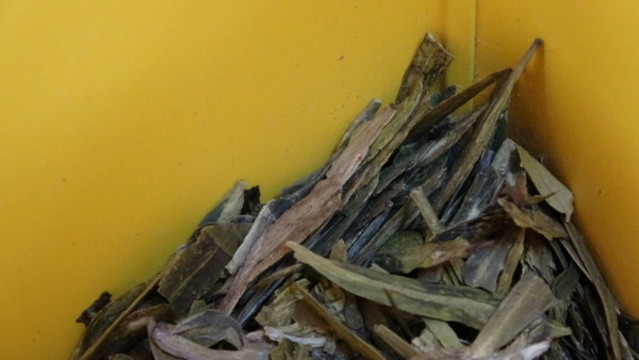 茶葉