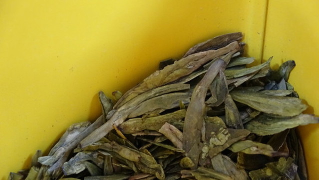 茶葉