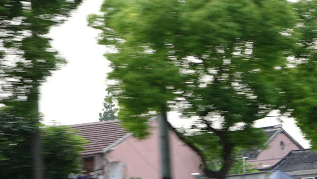綠植