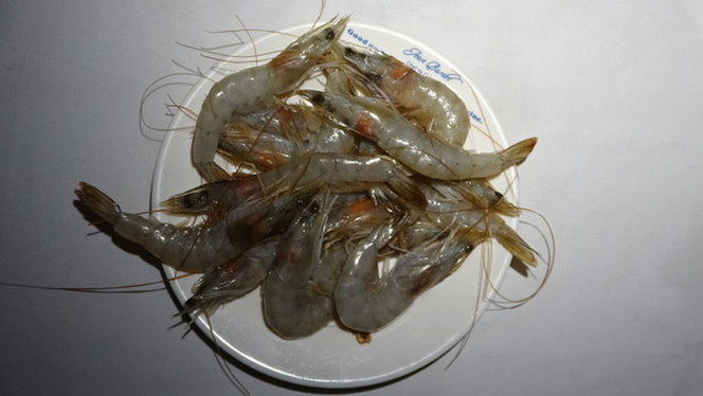基圍蝦