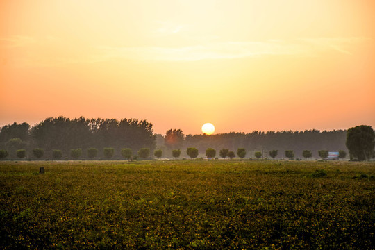 夕陽(yáng)