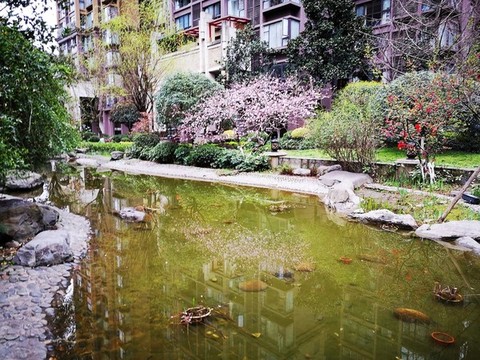 小區(qū)水景