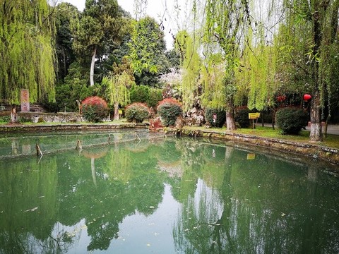 濕地公園