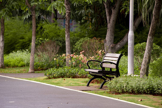 公園