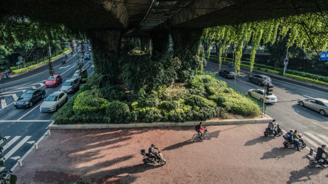福州尤溪洲大橋