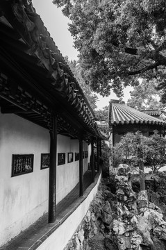 園林景觀