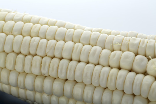 玉米