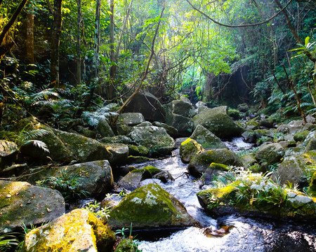山澗溪流