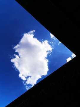 仰望天空藍(lán)天白云創(chuàng)意攝影