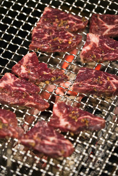 烤肉燒肉燒烤