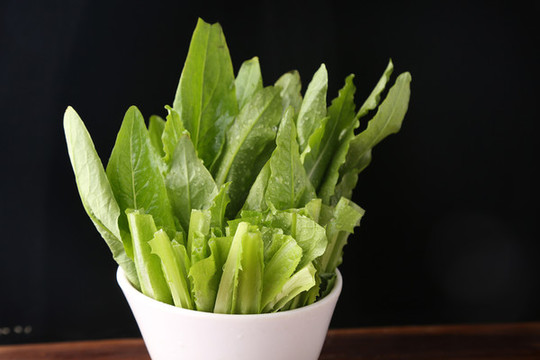 油麥菜