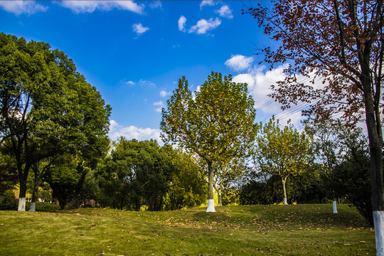 公園秋景