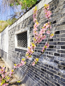 公園一角
