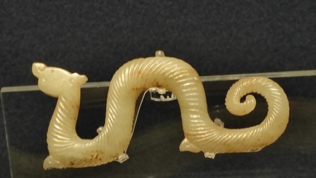 戰(zhàn)國龍