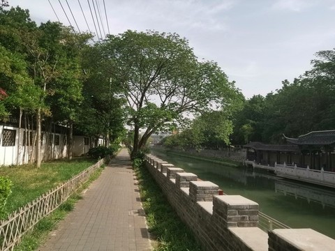 小秦淮河