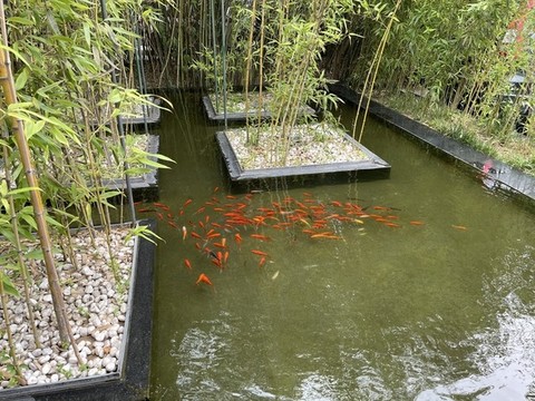 園藝魚池