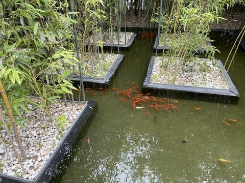 園藝魚池設(shè)計(jì)