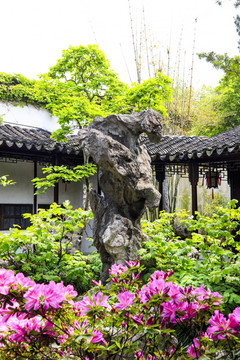 蘇州留園石林小院