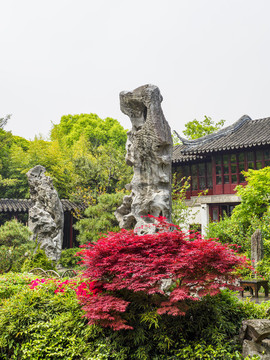 蘇州留園冠云峰